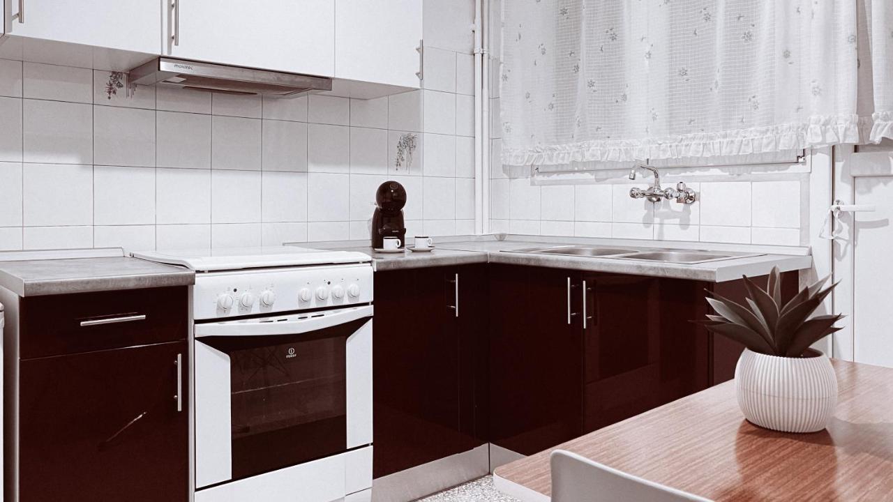 Vintage 2-Bedroom Apt In The Heart Of The City 雅典 外观 照片